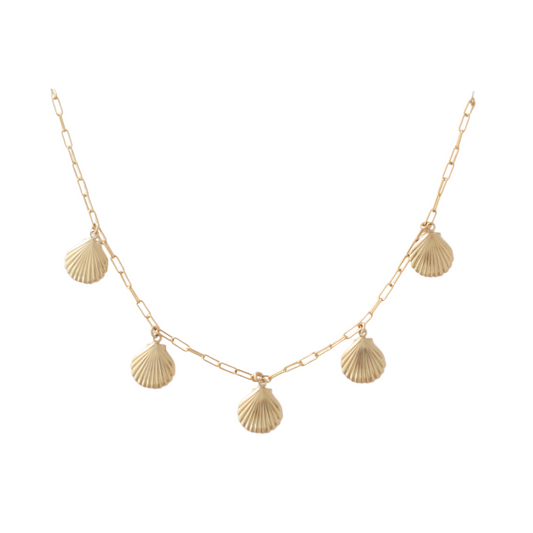 Seashell Necklace