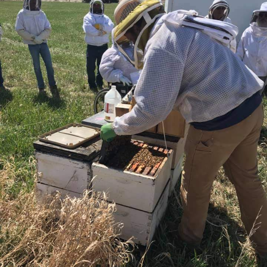 All Natural Raw Honey | 12 oz | Lance Honey Farms