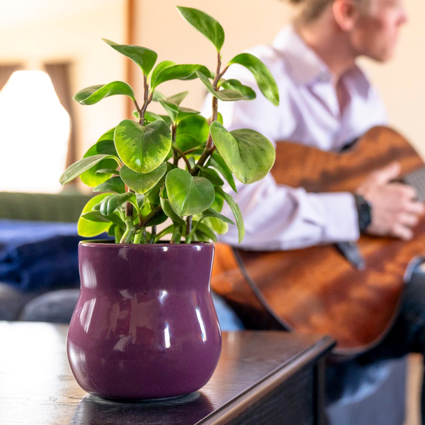 Violet Purple Plant Pot