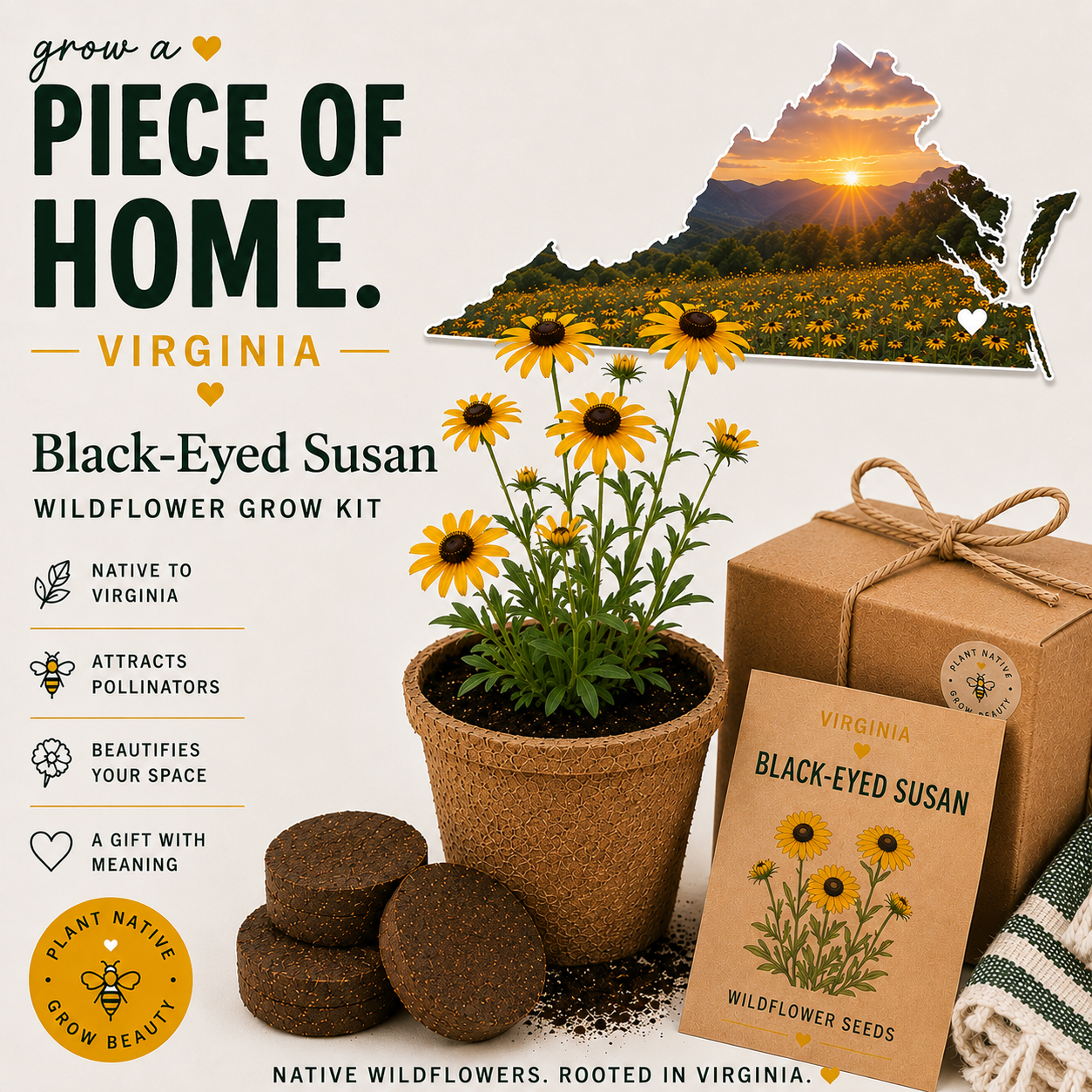 Virginia Black-Eyed Susan Grow Kit