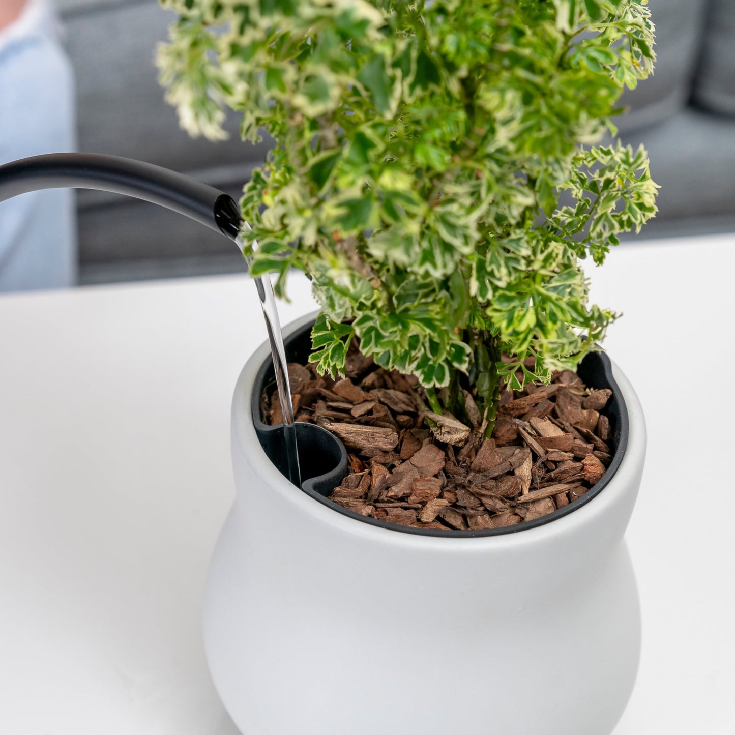 Alabaster White Plant Pot