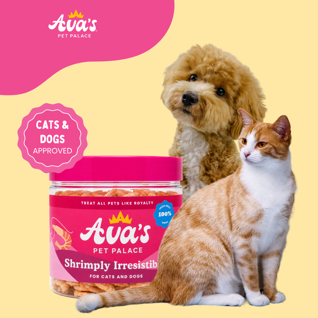 Freeze Dried Shrimp - Shrimply Irresistable