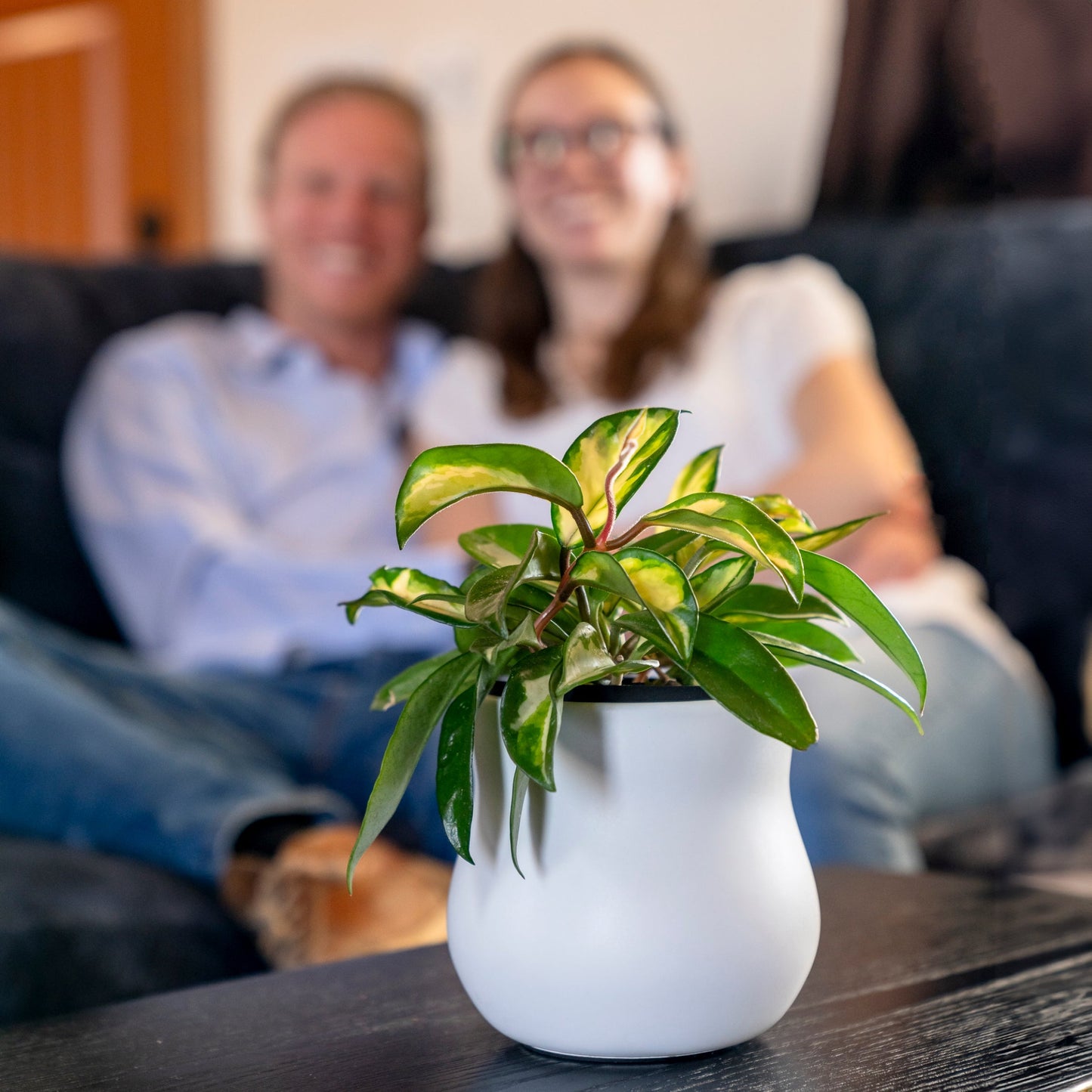 Alabaster White Plant Pot