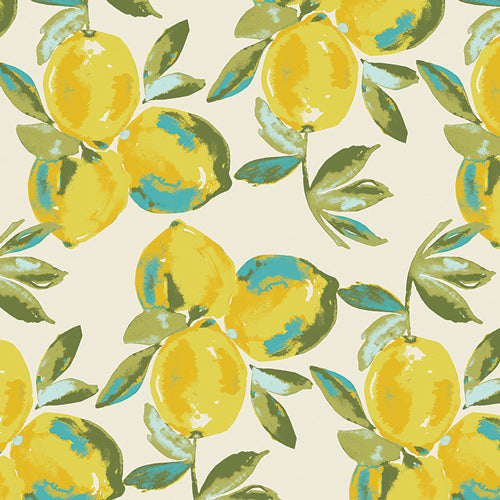 Napkins - 100% Cotton