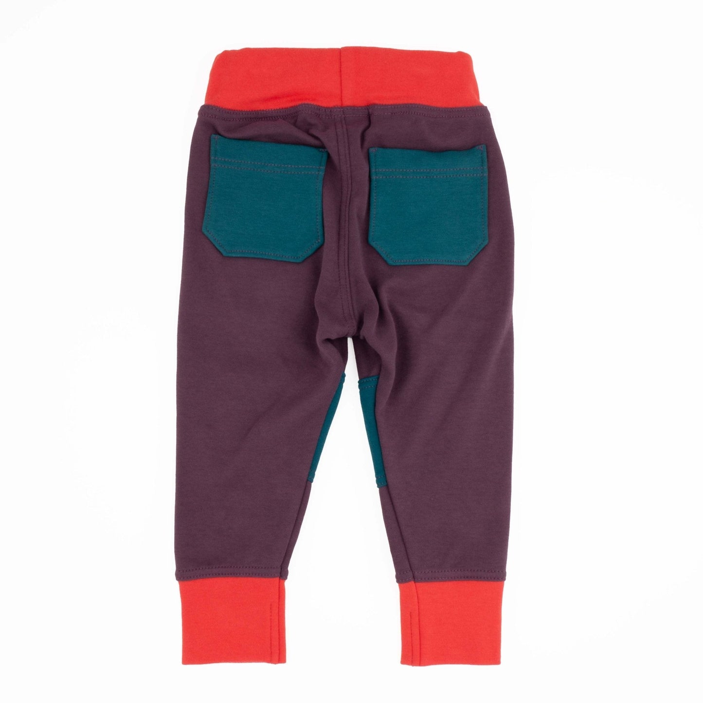 Adult Colorblock Joggers