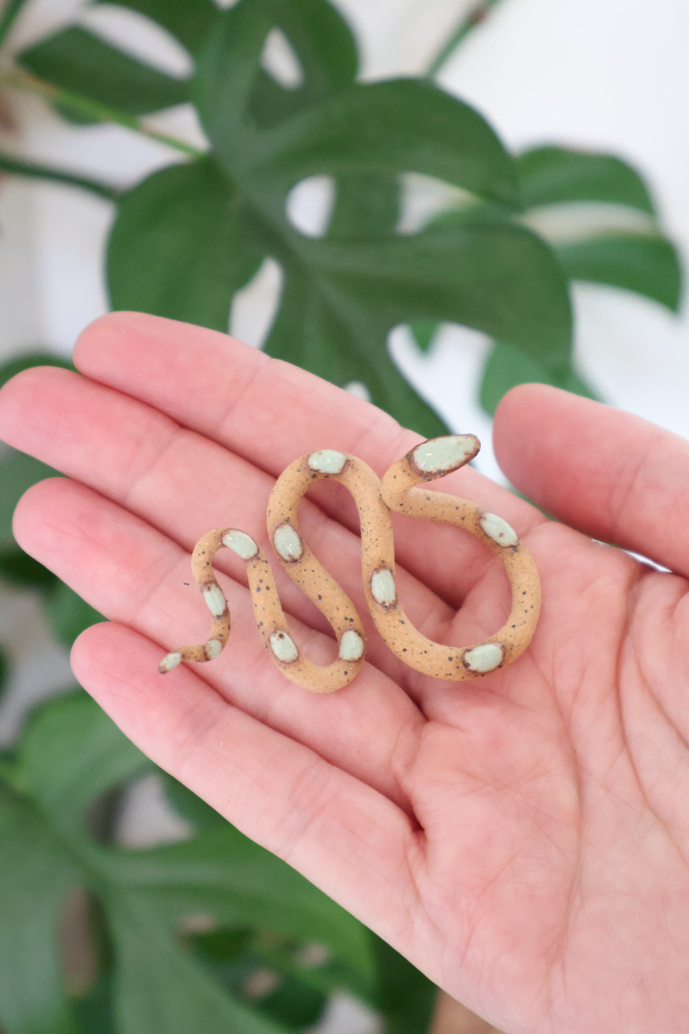Baby Ceramic Snake