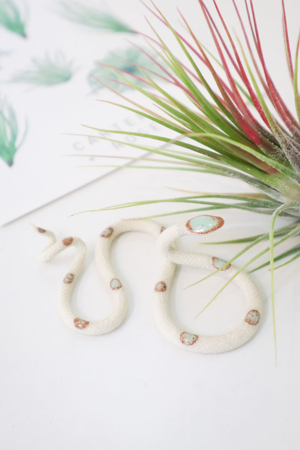 Baby Ceramic Snake