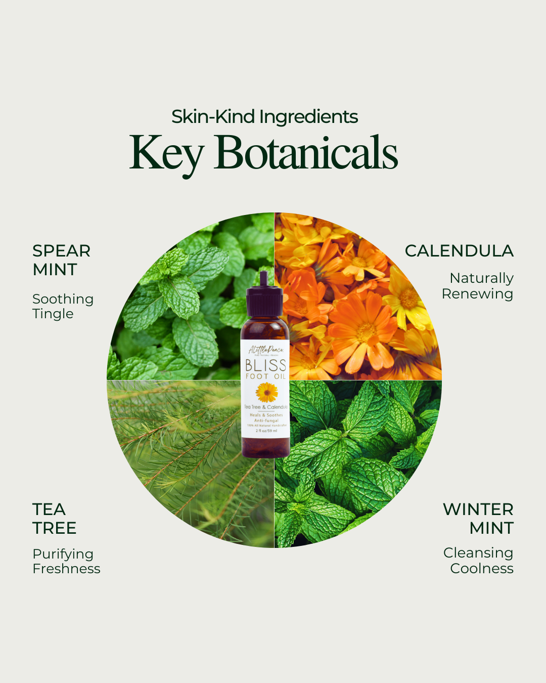 Bliss Foot Oil | Tea Tree & Calendula