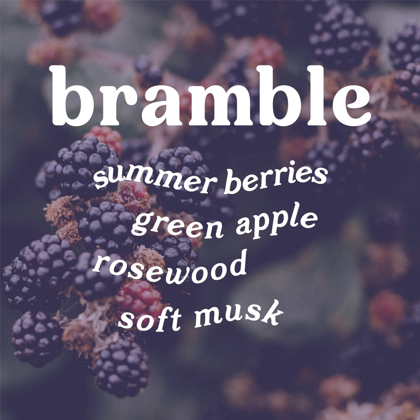 Bramble 4 oz. Hue Reed Diffuser (Blackberry + Rosewood)