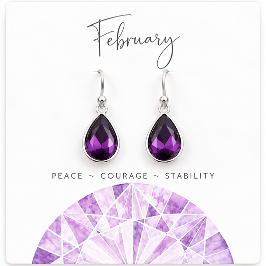 February Birthstone Earrings - Sterling Silver