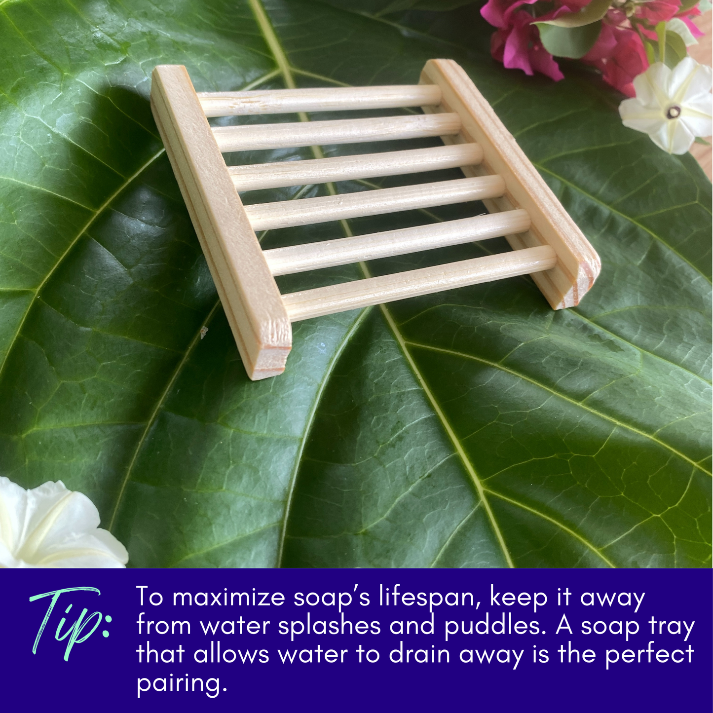 Charcoal Soap Tea Tree Soap, Microbiome Friendly Cleanser Bar