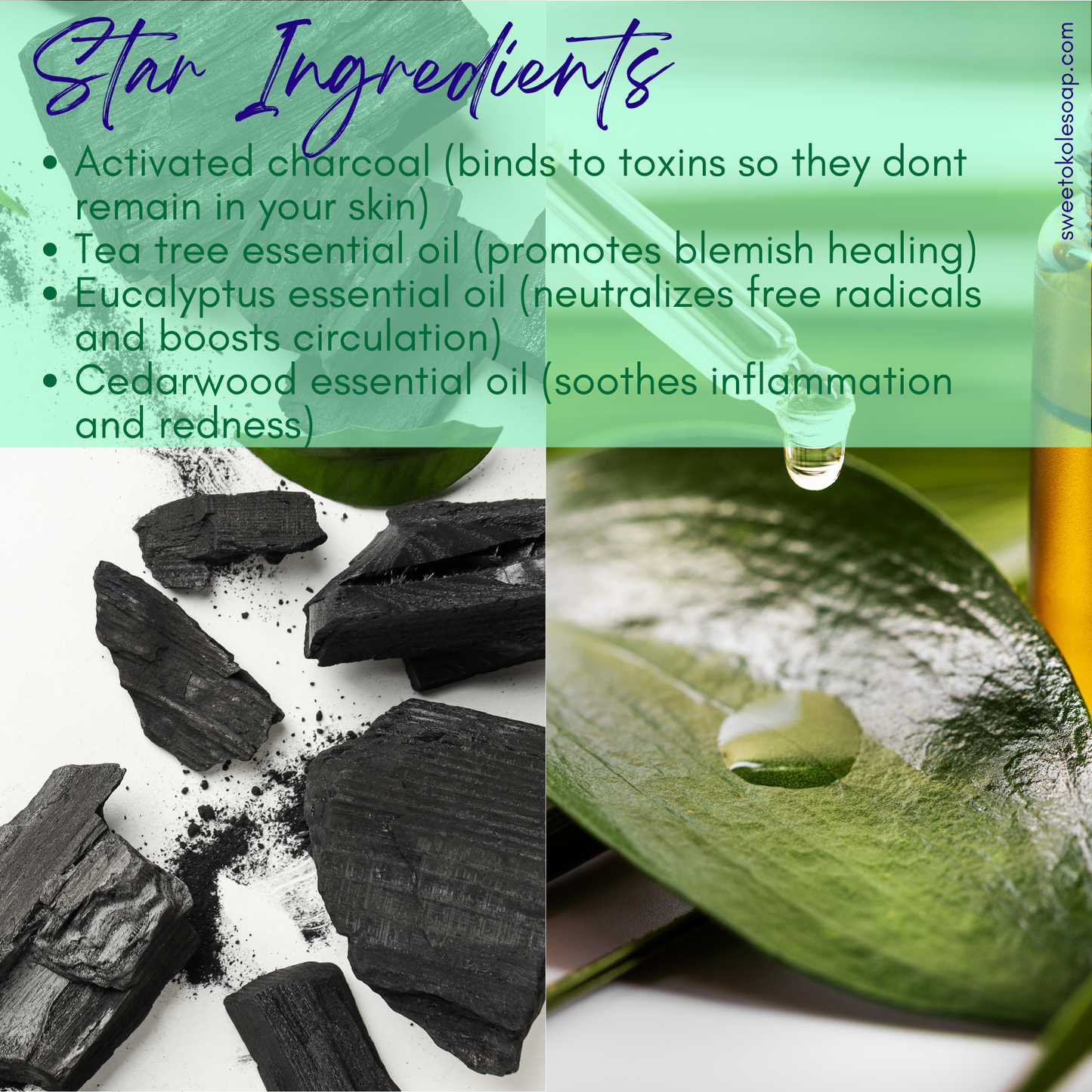 Charcoal Soap Tea Tree Soap, Microbiome Friendly Cleanser Bar