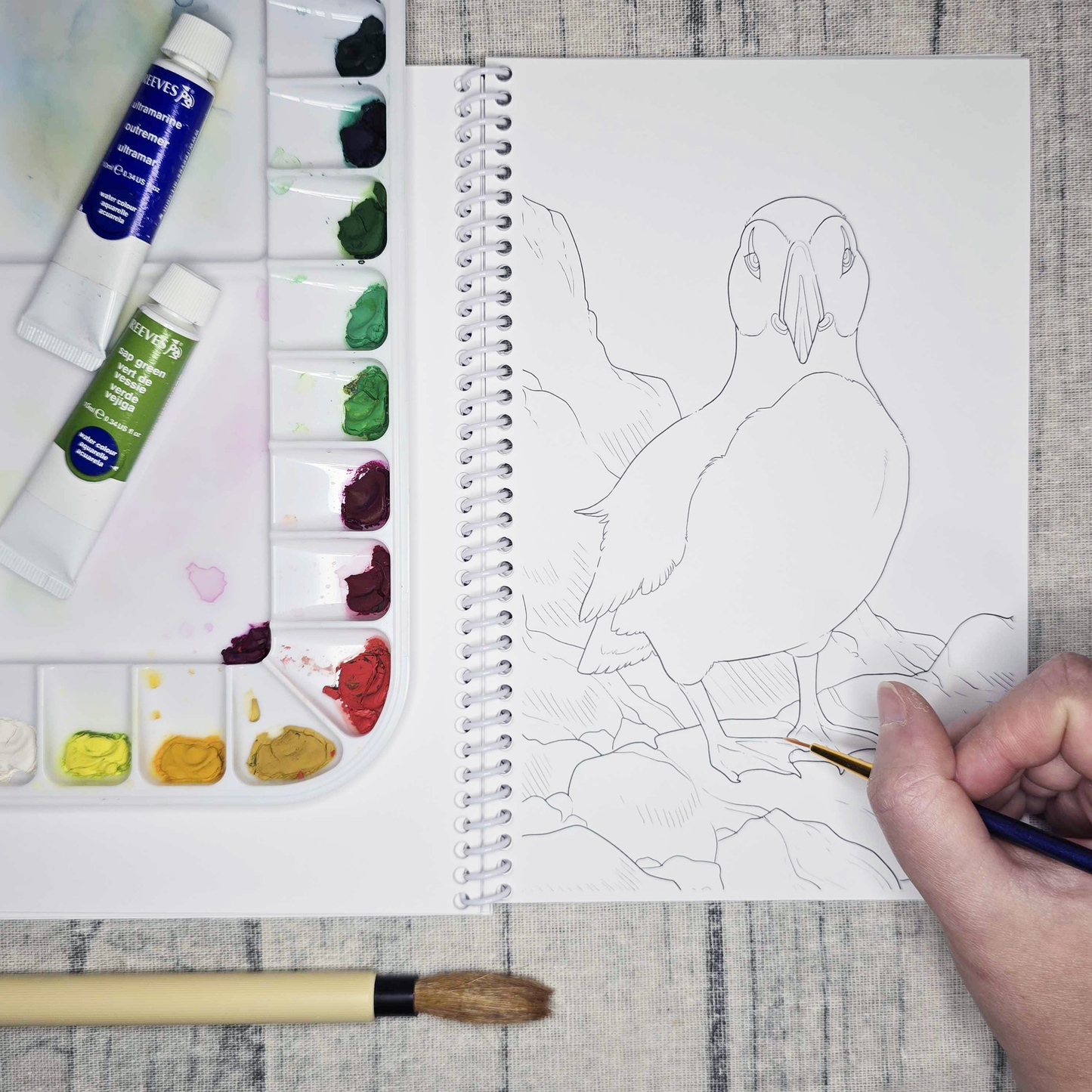 Coastal Alaska Art Coloring Book