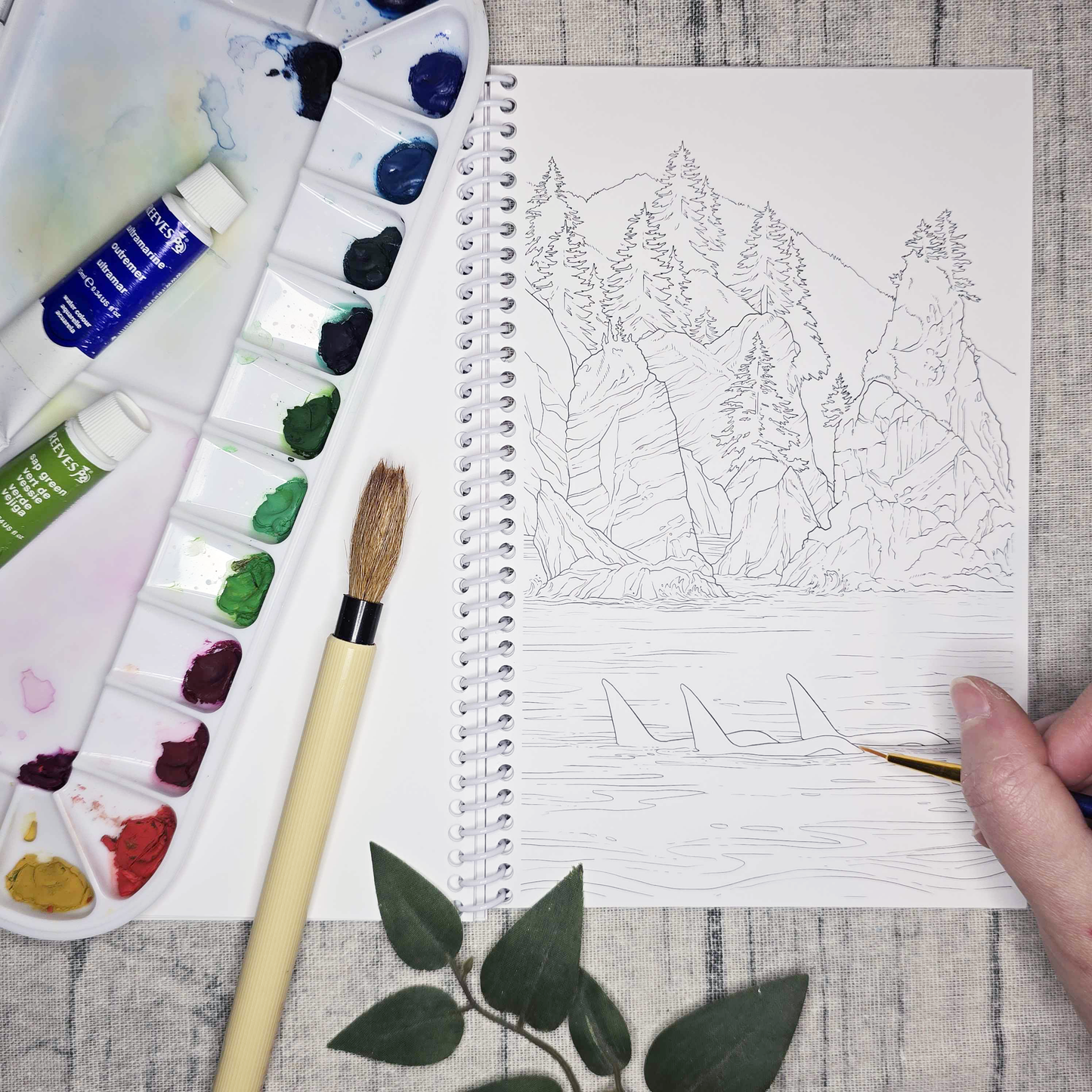 Coastal Alaska Art Coloring Book