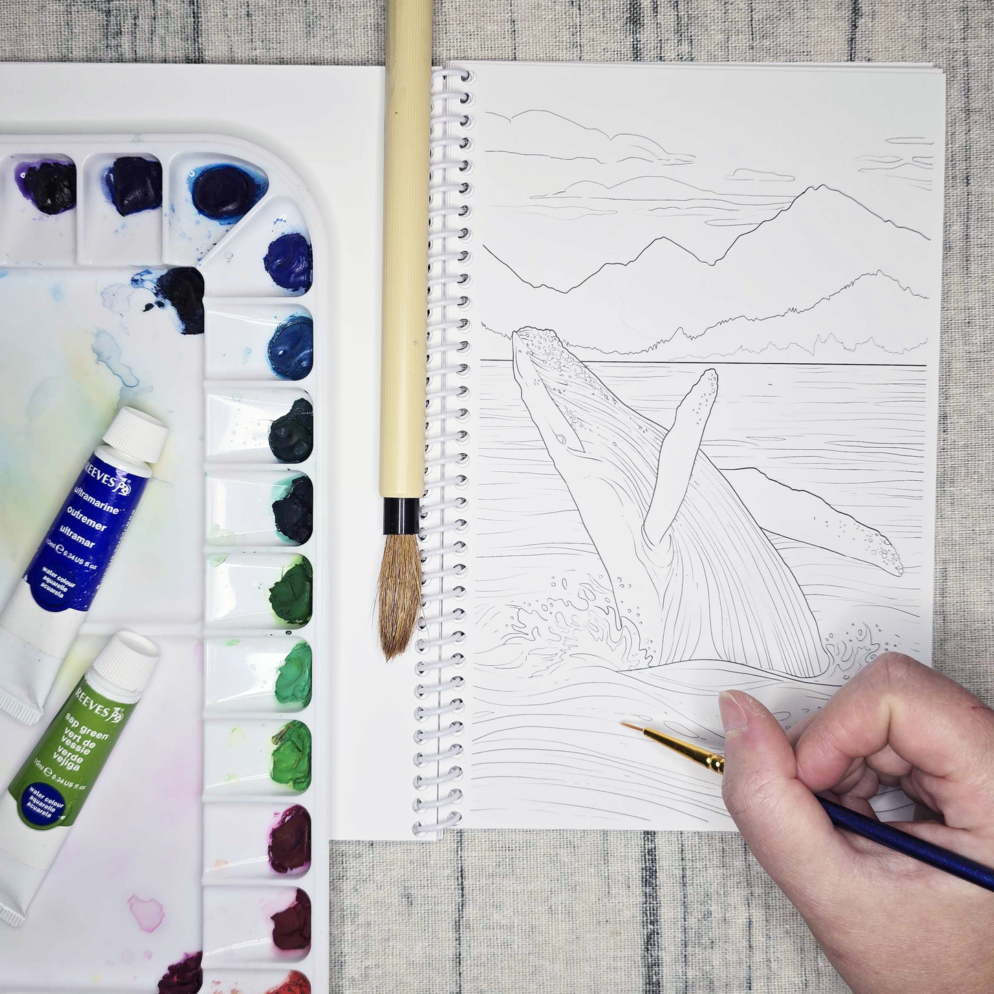 Coastal Alaska Art Coloring Book