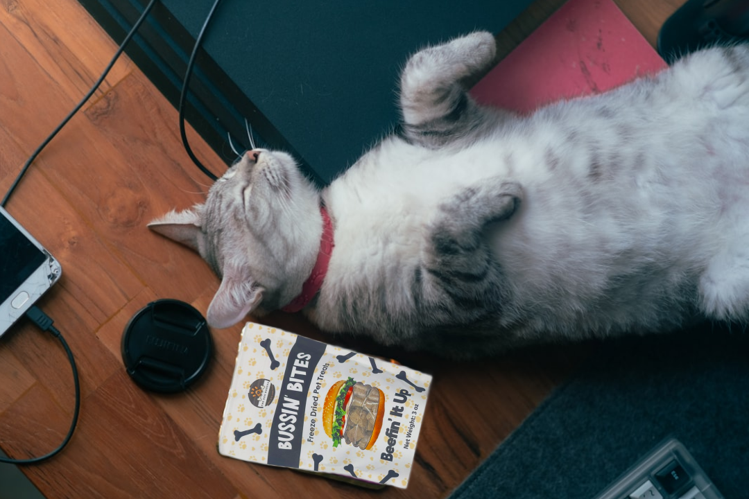 Single Ingredient, High Value Freeze-Dried Training Treats for Dogs & Cats - Beef Liver