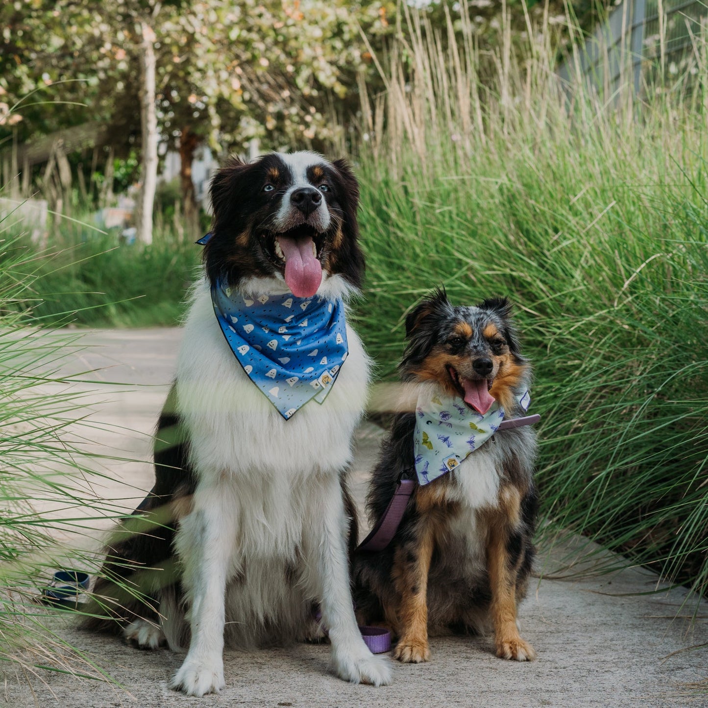Bluey Boos Dog Bandana