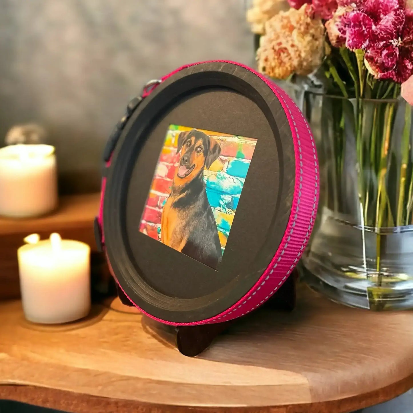 Large/Extra Large Dog Collar Frame and Stand Bundle | "The Great Dane"