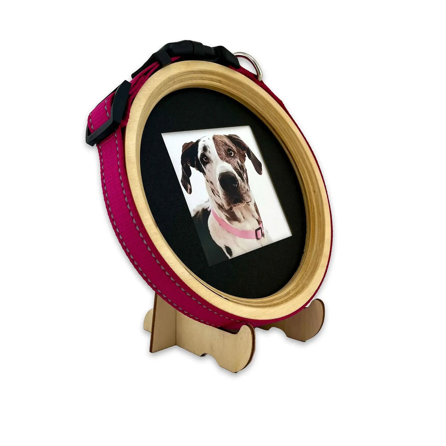 Large/Extra Large Dog Collar Frame and Stand Bundle | "The Great Dane"