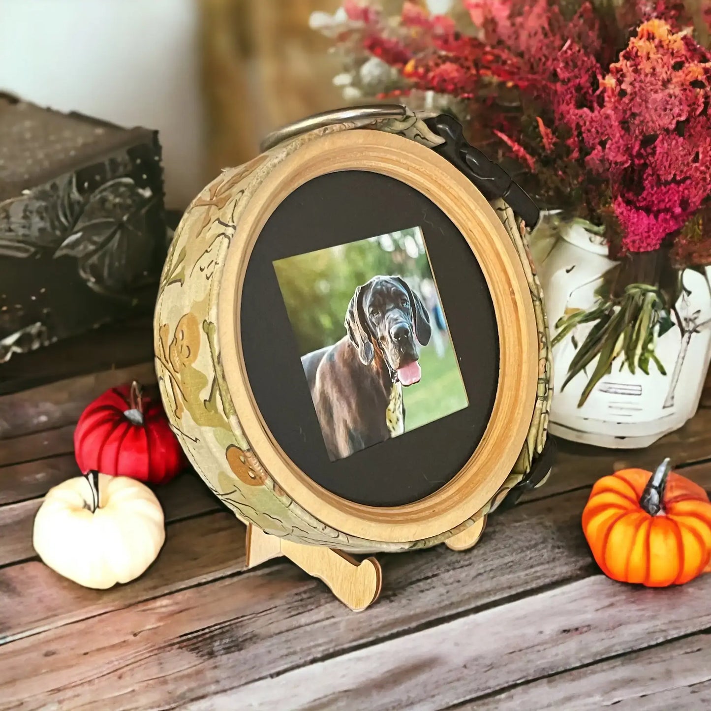 Large/Extra Large Dog Collar Frame and Stand Bundle | "The Great Dane"