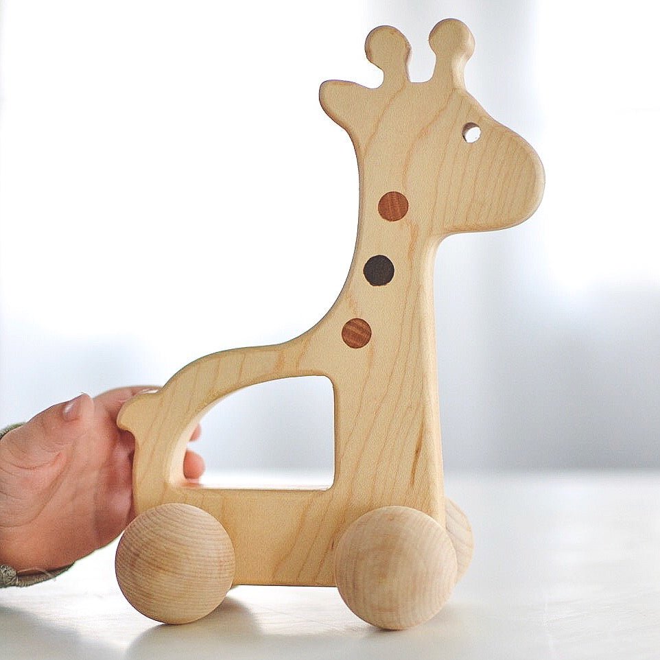 Giraffe Push Toy