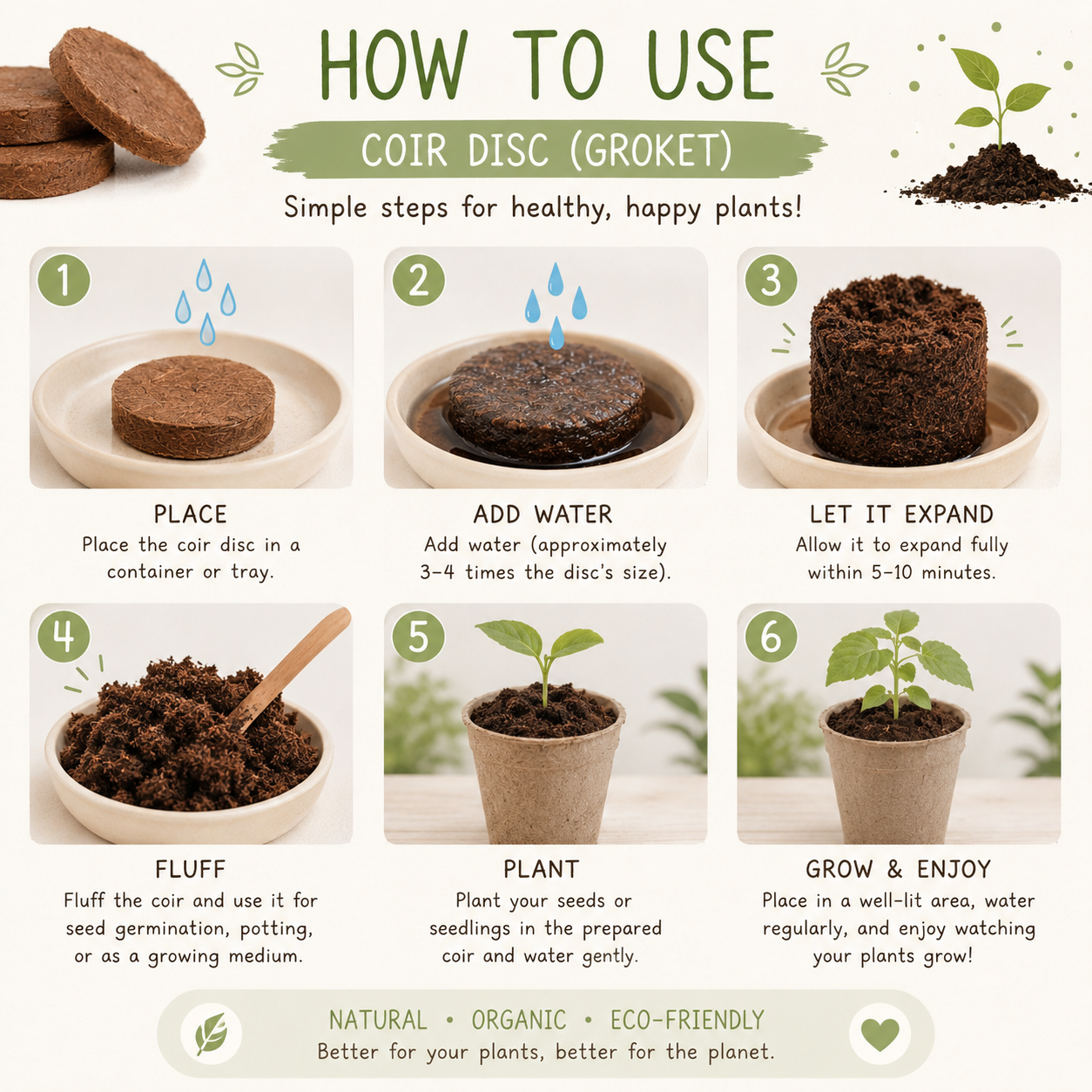 Lucky Clover Grow Kit
