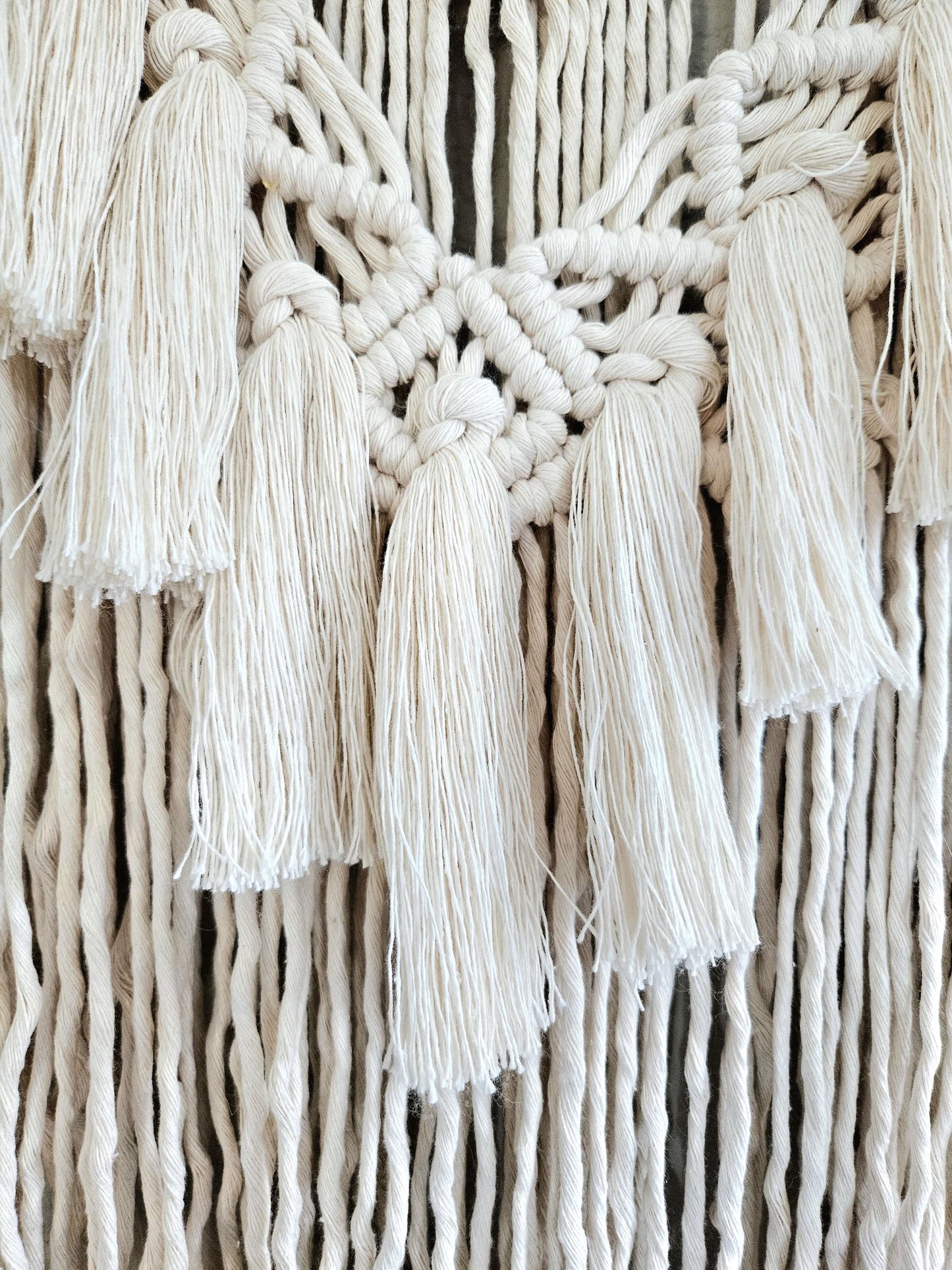 Macrame wall hanging on Manzanita branch.