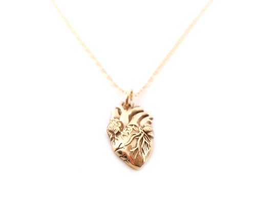Anatomical Heart Charm 14k Gold Filled Necklace