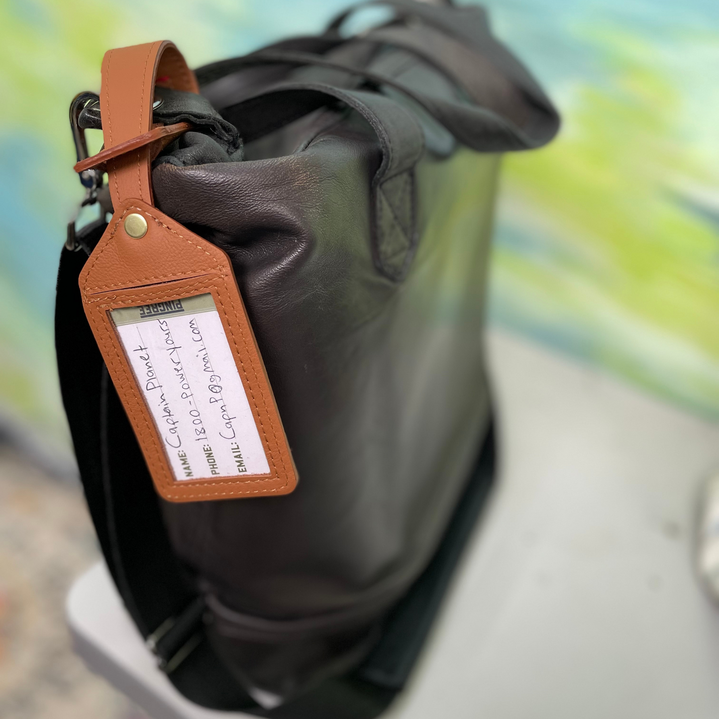 Lakes Luggage Tag