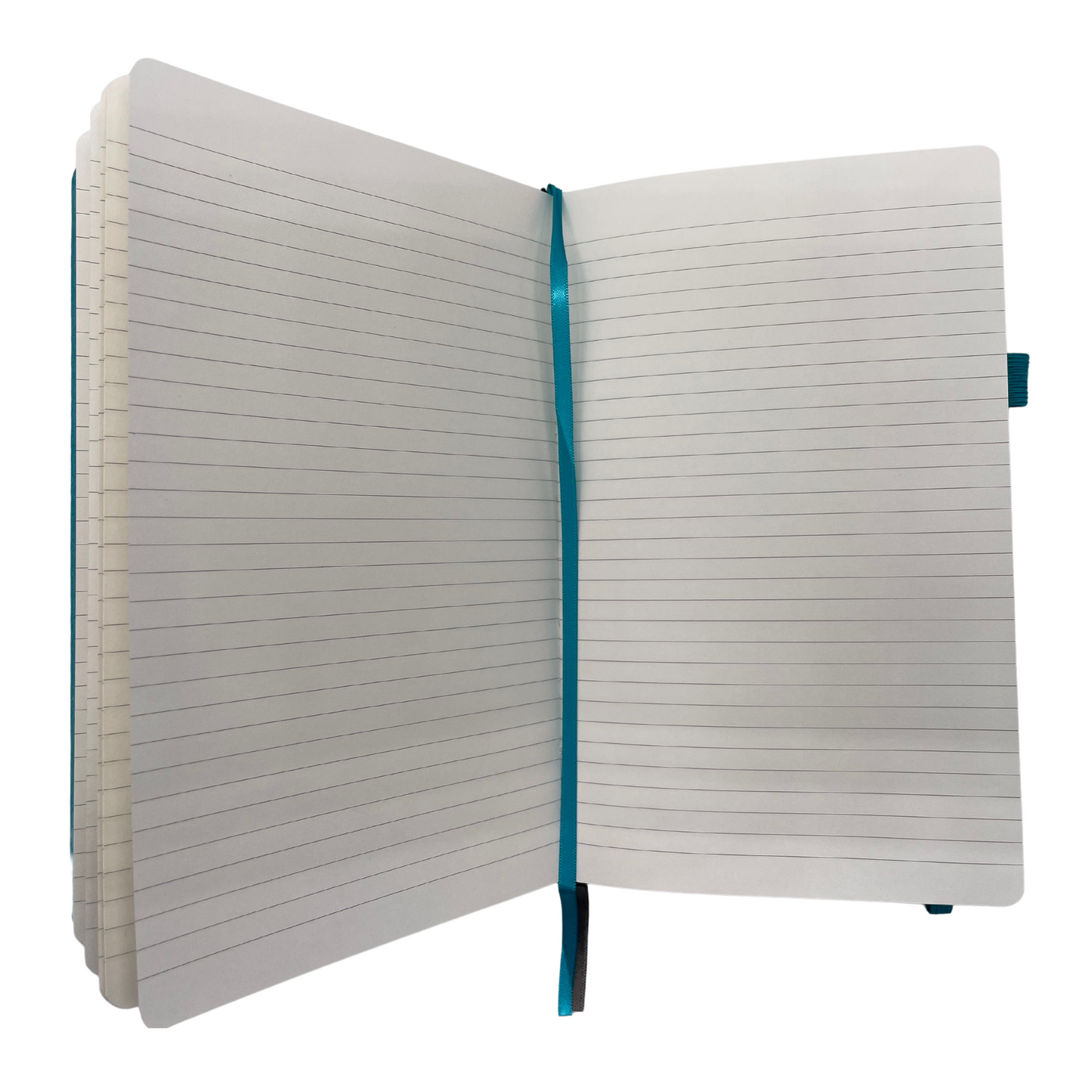 Pingree Work Folio