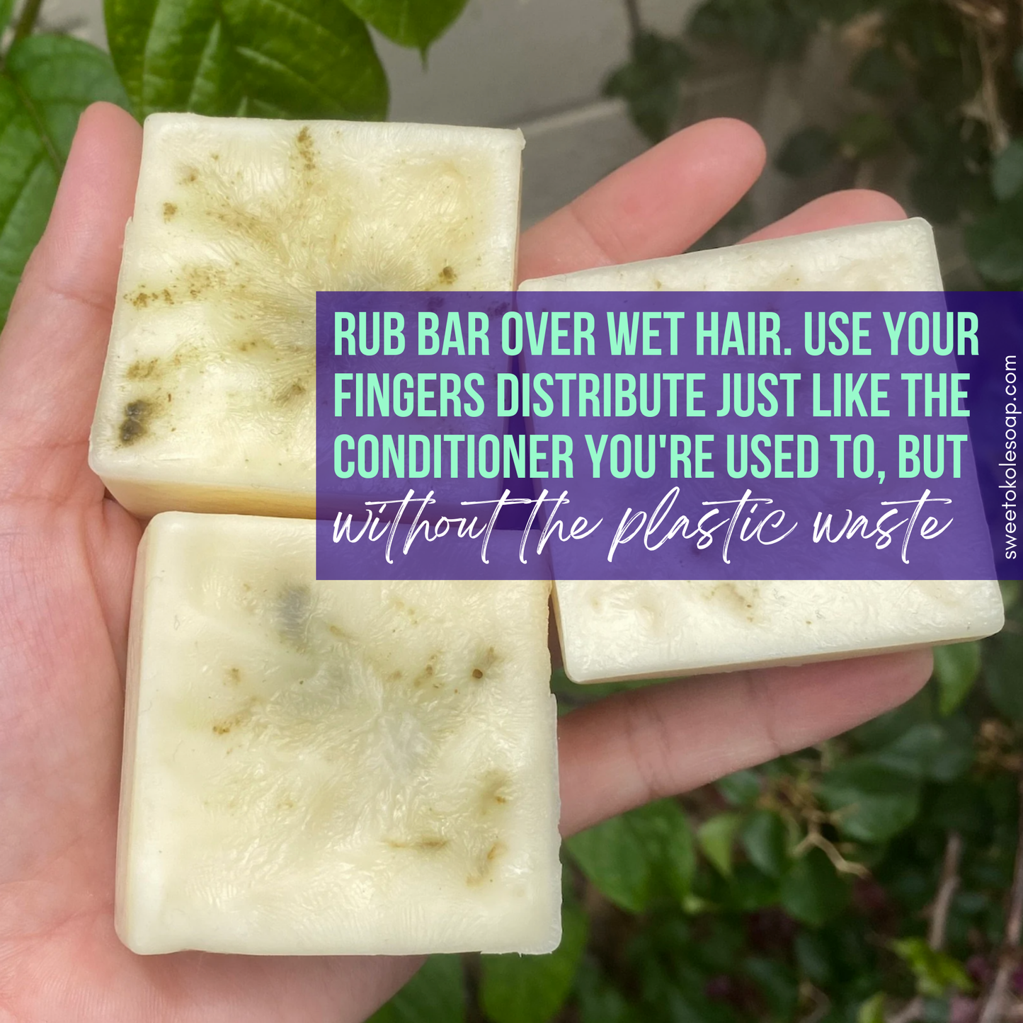 Non-Toxic Conditioner Bar w/ Rosemary, Mint & Moringa