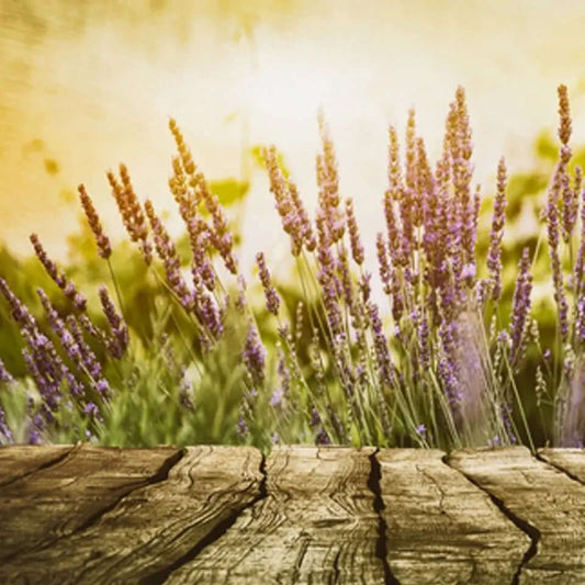 Lavender and Cedar