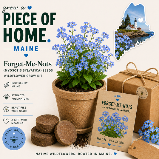 Maine Forget-Me-Not Grow Kit