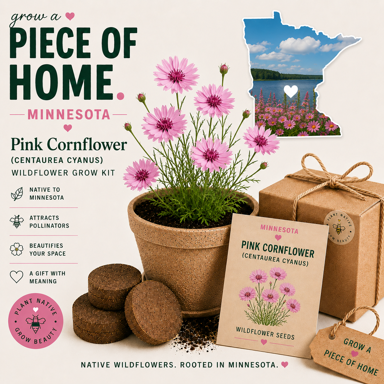 Minnesota Pink Cornflower Grow Kit