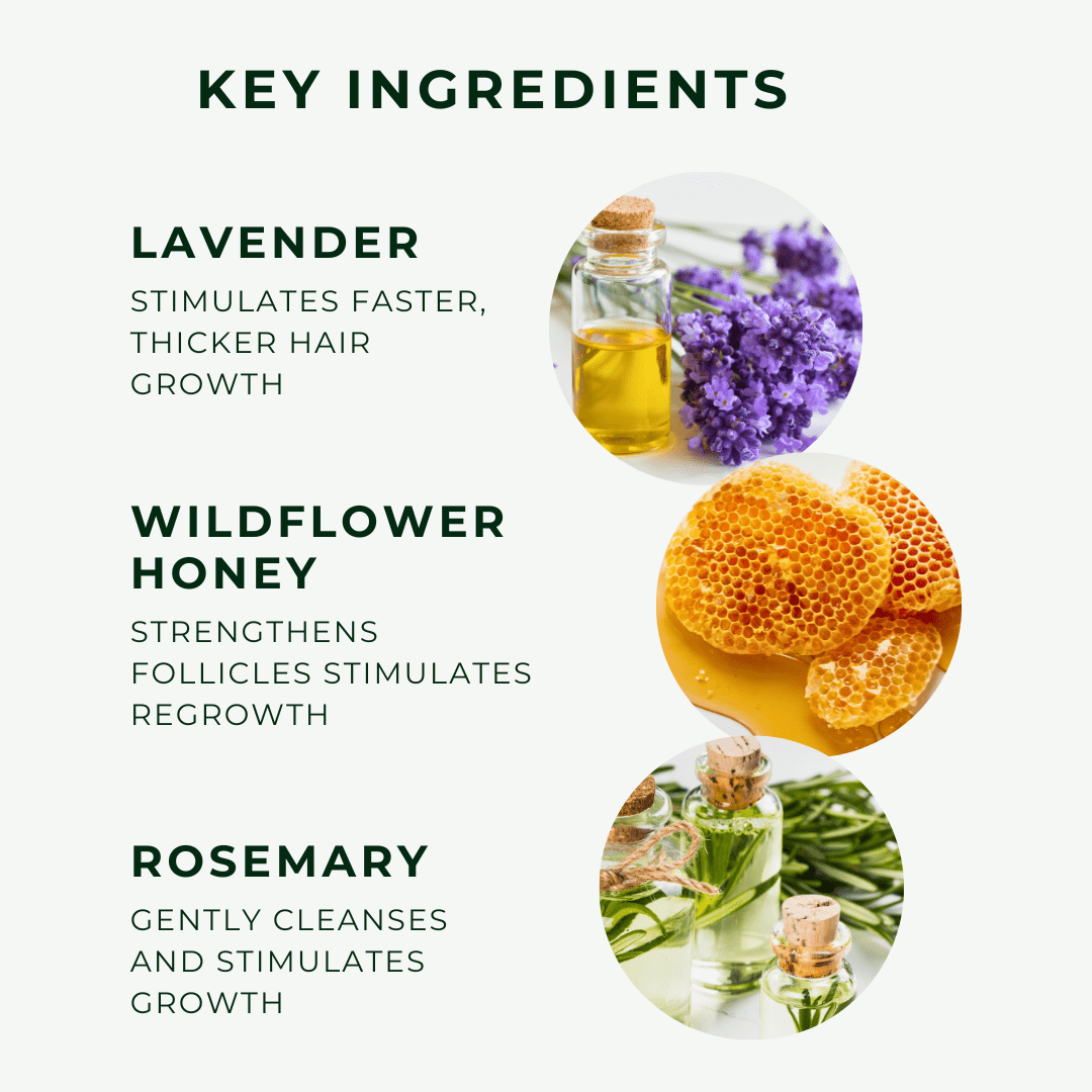 Moisture Balance Hair Care Therapy