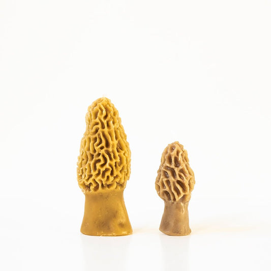 Morel Mushroom Beeswax Candle Set of 2