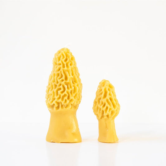 Morel Mushroom Beeswax Candle Set of 2