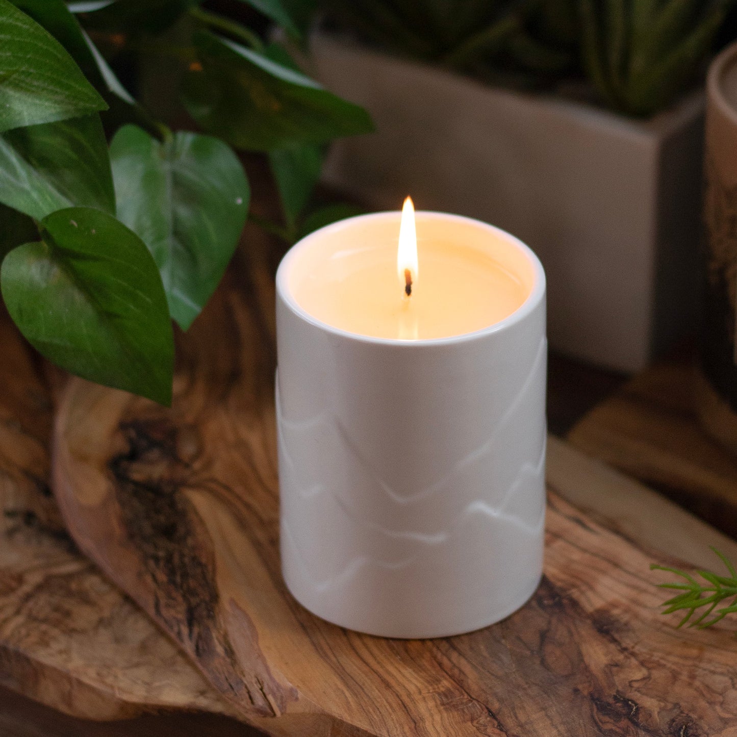 Chalet 12 oz. Balsam + Feather Mountain Candle
