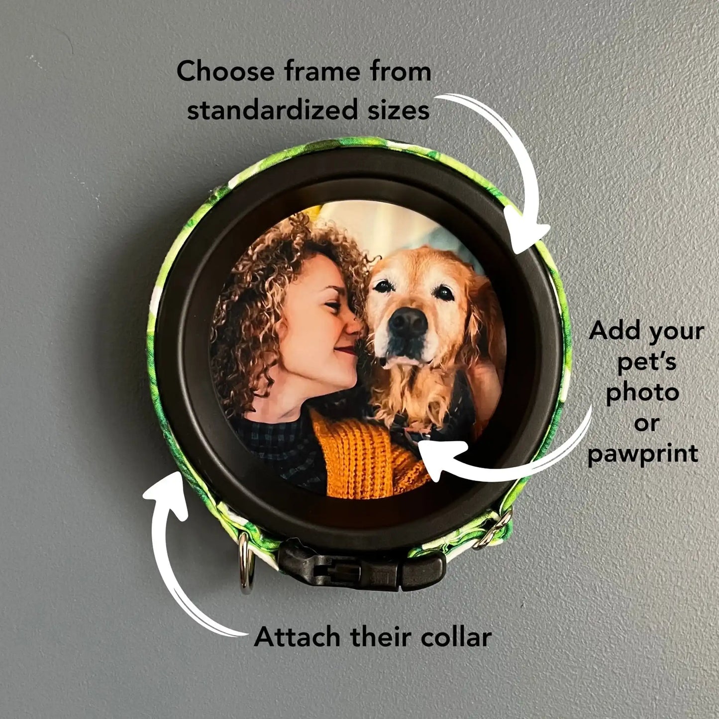 Large/Extra Large Dog Collar Frame | "The Great Dane"