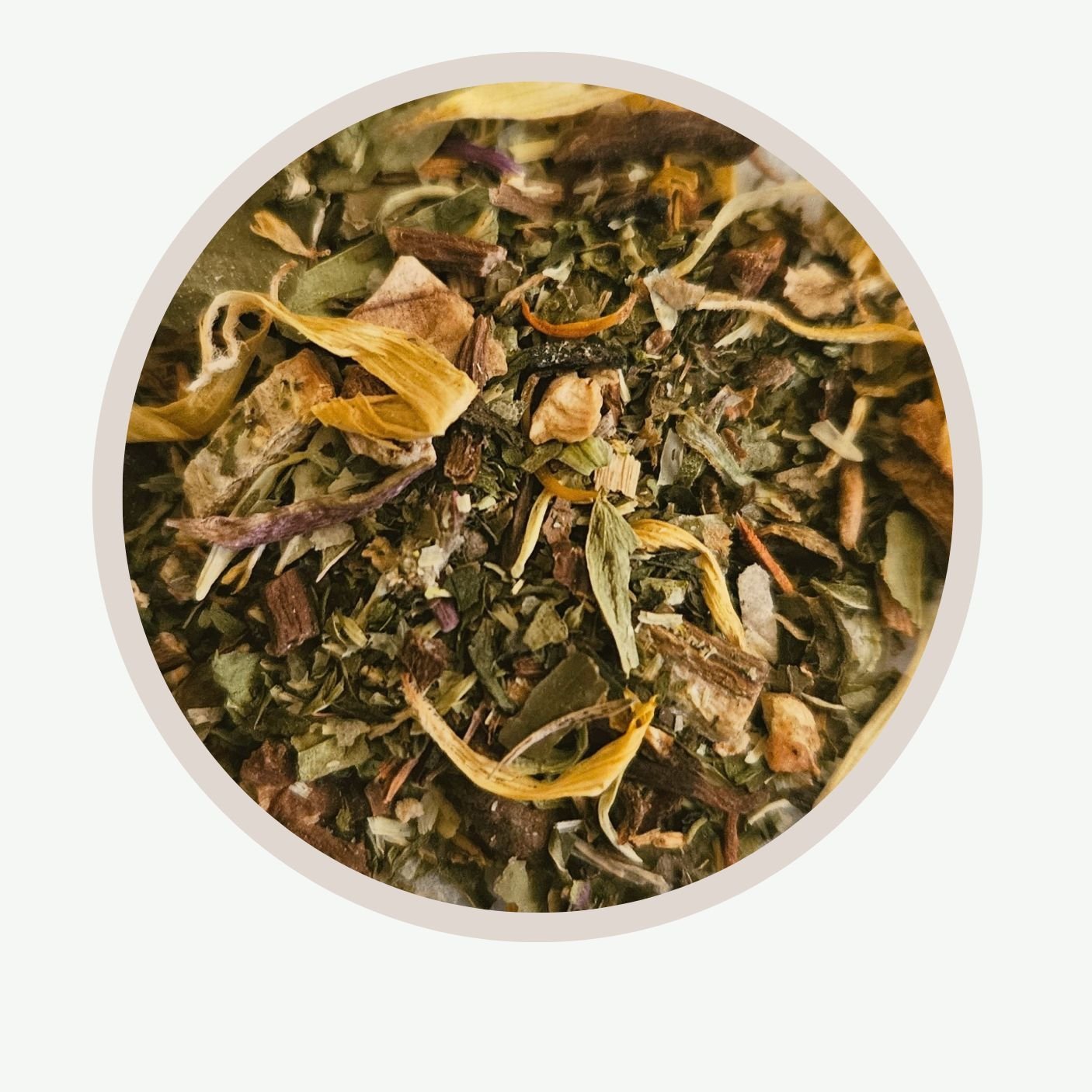 Purity | Lymph & Organ Support