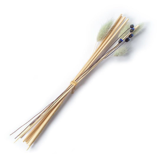 Reed Bundle - Natural Botanical