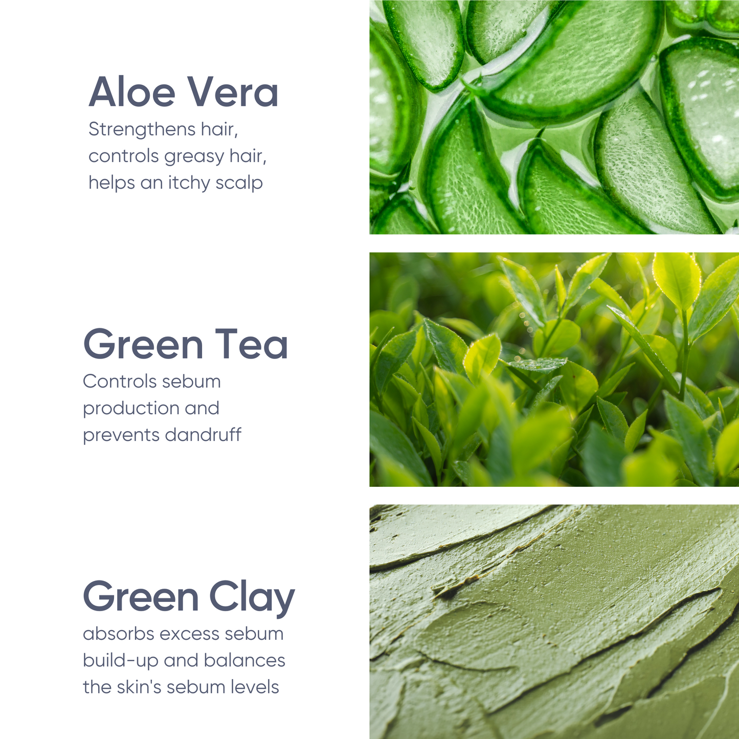 Green Tea & Aloe Clarifying Solid Shampoo