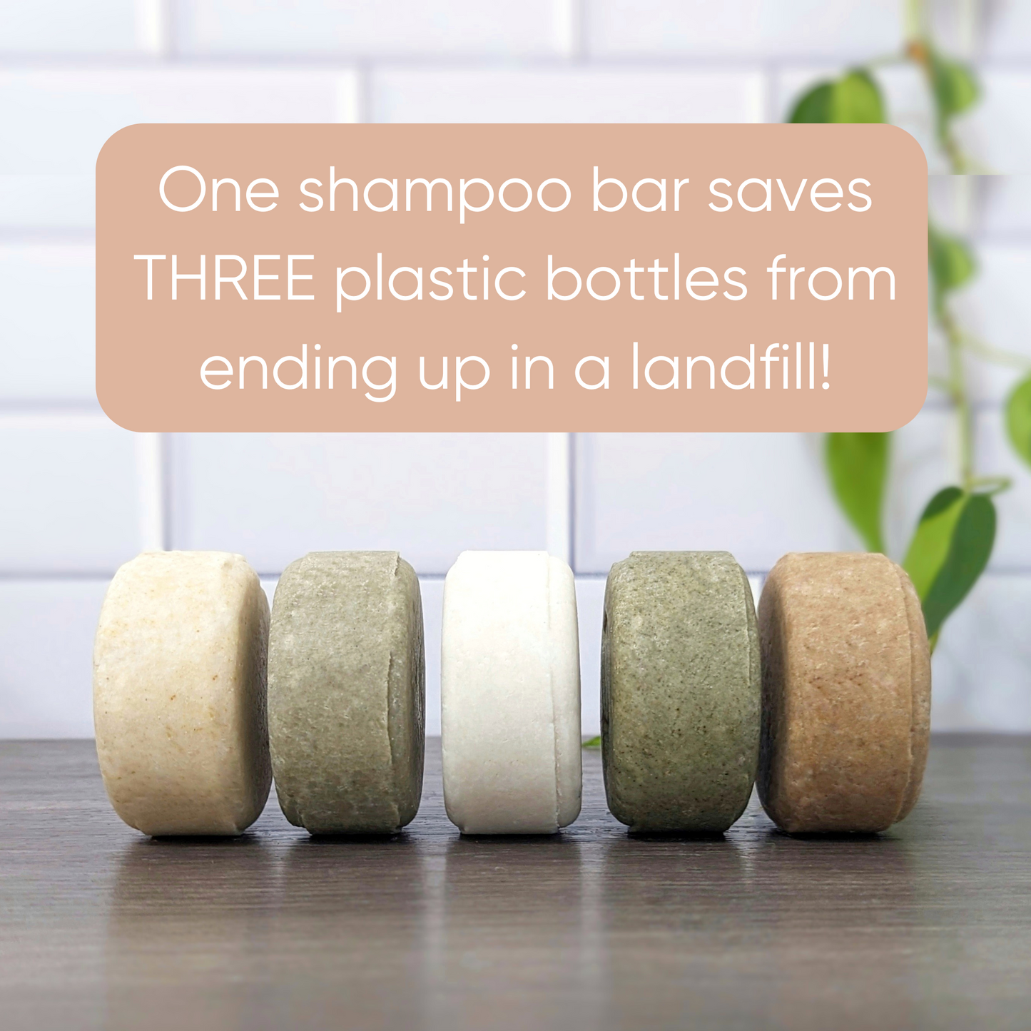 Green Tea & Aloe Clarifying Solid Shampoo