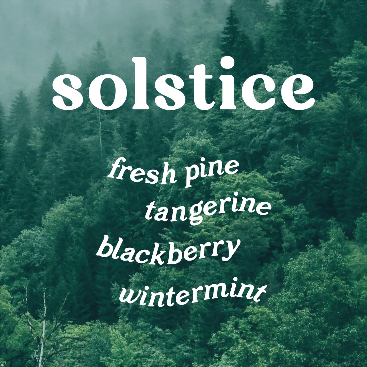 Solstice 9 oz. Hue Candle (Nordic Pine)