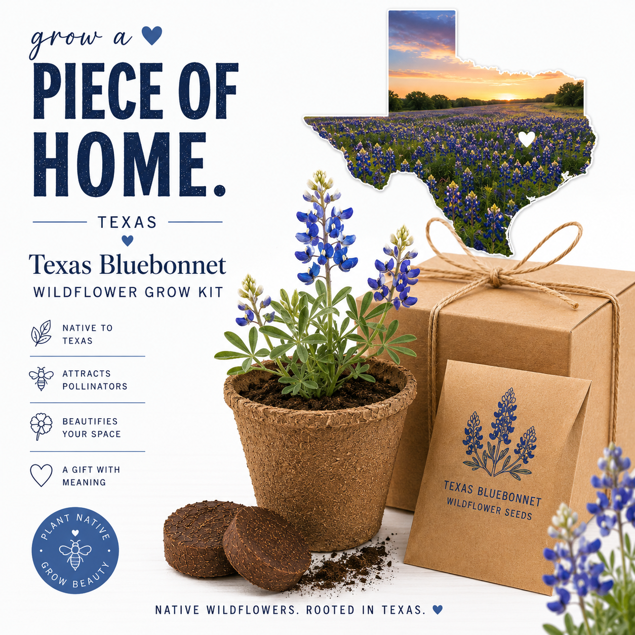 Texas Bluebonnet Grow Kit