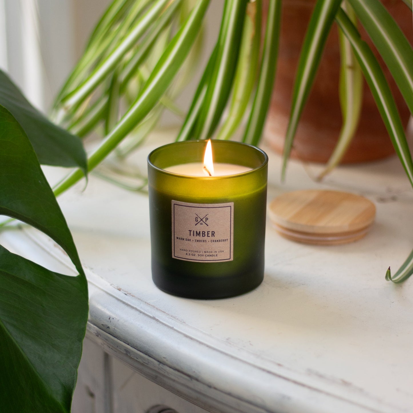 Timber 8.5 oz. Balsam + Feather Candle