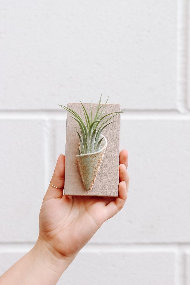 Tiny Ceramic Wall Planter