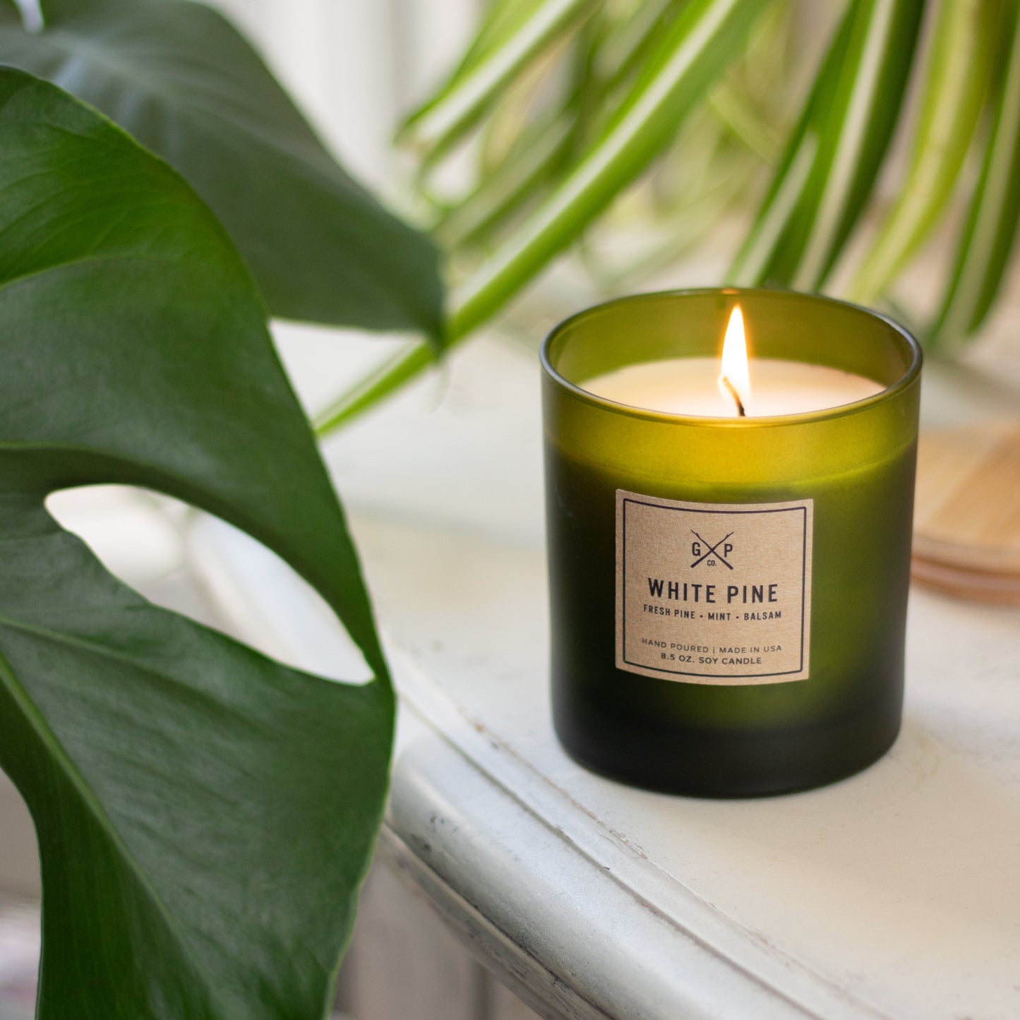 White Pine 8.5 oz. Balsam + Feather Candle