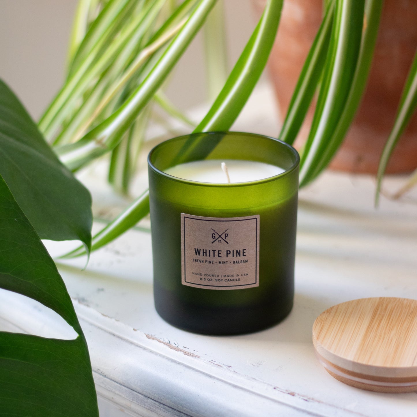 White Pine 8.5 oz. Balsam + Feather Candle