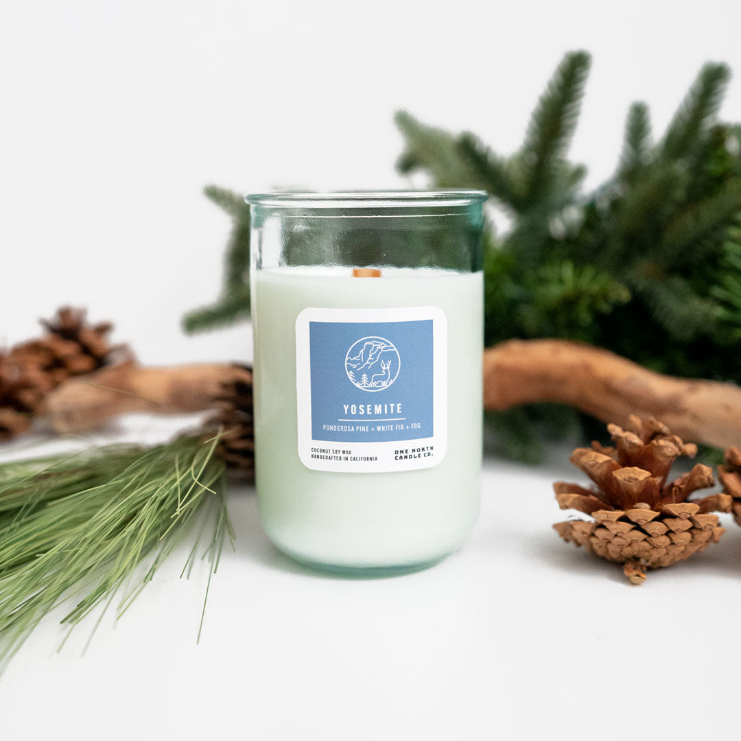 Yosemite (ponderosa pine | white fir | fog)